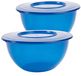 Ensemble de 2 bols décoratifs avec couvercle - 5 litres