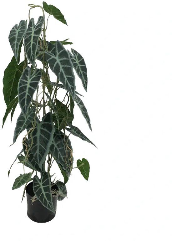 Buitengewoon Boet Kunstplant Caladium in Pot - 77 cm