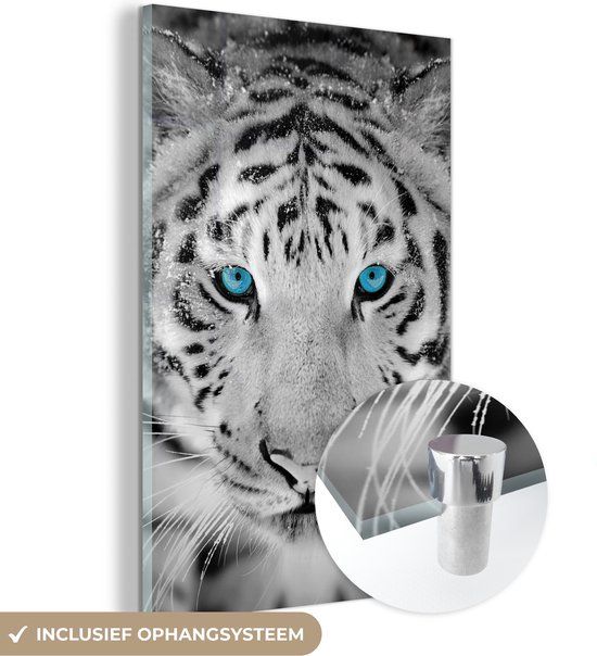 MuchoWow® Glass Painting 120x180 cm - Acrylic Glass Painting - Tiger - Winter - Animals - Photo on Glass - Paintings