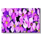 Homemania Wandfoto, bloemen, natuur, voor woonkamer, slaapkamer, meerkleurig, 45 x 3 x 70 cm, HM20KNV45 x 70 – 130, polyester, hout