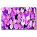 Homemania Wandfoto, bloemen, natuur, voor woonkamer, slaapkamer, meerkleurig, 45 x 3 x 70 cm, HM20KNV45 x 70 – 130, polyester, hout