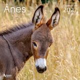 Anes: Calendrier