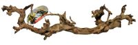 Lucky Reptile Wijnhout, maat: medium