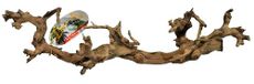 Lucky Reptile Wijnhout, maat: medium