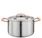 Spring Kookpan GOURMET, meerlaagse pan met deksel van roestvrij staal, geschikt voor de oven, met schaalverdeling aan de binnenkant, Ø 20 cm, hoogte 12 cm, 3,7 liter, roségoud