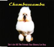 She's Chumbawamba She's Got All the Friends [UK CD Single]