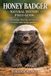 Honey Badger Natural History Field Guide: Understanding, Observing, and Studying the World’s Most Fearless Mammal