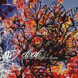 Sonic Rendezvous Eloah - Ode To Brother Horn (CD)