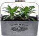 Sunnydays Plantenpot - Zink - Zilver - L37 x D24 x H14 cm