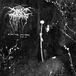 Darkthrone - Wind of 666 Black Hearts - Vol.2 (LP)