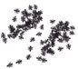 Merkloos / Sans marque Espa Nv Namaak mieren van 1,5 cm - Kunststof - 150x stuks - Halloween - Horror decoratie/versiering - Insecten/dieren