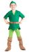 Peter Toon Studio Peter Pan Costume Disguise Fancy Dress Boy (Size 3-4 Years)