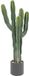 Atmosphera Plante artificielle Exotic Panama cactus avec pot - Ø44xH117cm - Vert