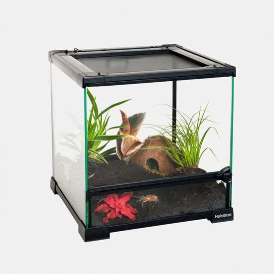 Aquadistri Habistat Glazen Terrarium - Terraria - 30x30x32 cm
