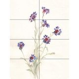 Artery8 Bloem Korenbloemen Aquarel XL Giant Paneel Poster (8 Secties)