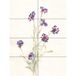 Artery8 Bloem Korenbloemen Aquarel XL Giant Paneel Poster (8 Secties)