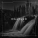 Haavard (Blanc 2 Vinyle)