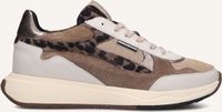 Floris van Bommel Sfw-10159 Suvi Sneakers - Leer - Dames - Beige - Maat 37,5