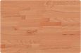 vidaXL - Wastafelblad - 60x40x2,5 cm - massief beukenhout