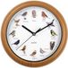 EasyMaxx Wandklok met 12 zingende vogelliedjes