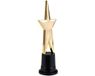 Boland Star award prijs - gouden ster - 22 cm - kunststof