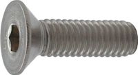 Hoenderdaal Boulon à tête hexagonale inox PK A2 M6x16MM