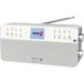 WDR-Radio - 8 geheugentoetsen voor WDR-zenders - afstandsbediening - Bluetooth - hoofdtelefoonaansluiting - kleurendisplay - stereogeluid - AUX-in - zilver - digitale radio