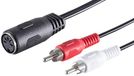 1aTTack.de 0,2 m 5-pins DIN-aansluiting naar 2 RCA-stekkers STEREO Audioadapterkabel