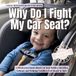 Why The Whole Brain Toddler- Why Do I Fight My Car Seat?