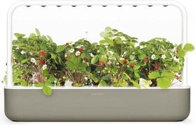 Click & Grow Smart Garden 9