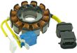 rms Piaggio 125-150-200cc Stator Zilver