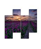 Homemania Afbeelding violet-4 natuur en landschappen per woonkamer, meerkleurig, 76 x 0,3 x 50 cm, HM204PMDF202, MDF