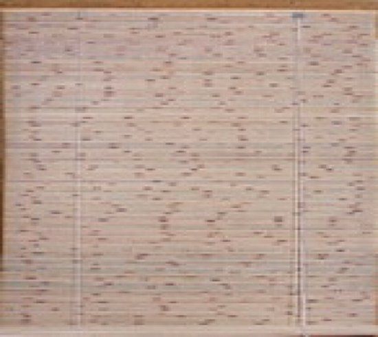 Intergard Rolgordijn Nara 120x200cm Bamboe Licht