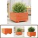 vidaXL Plantenbak 40x40x26,5 cm massief grenenhout wasbruin