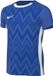 Nike Voetbalshirt Dri-fit Challenge V - Blauw/wit Kids, maat L: 147-158 cm