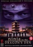 Ninja In The Dragon's Den