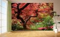Muurtattoo Muurtattoo muursticker L (400 x 265 cm)