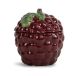 Byon Bol Grape avec couvercle Pourpre