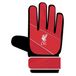 Team Merchandise Liverpool FC keepershandschoenen voor kinderen 2025/26