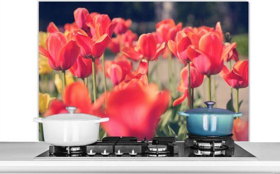 Spatscherm keuken 100x65 cm - Kookplaat achterwand Tulpen - Bloemen - Natuur - Aluminium