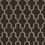 Dutch Wallcoverings Geometric Zwart en Goudkleurig Vliesbehang