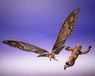 Bandai Tamashii Nations Godzilla x Kong: The New Empire S.H. Monster Arts Action Figuur 2-Pack Suko & Mothra