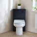 Hudson Reed Cluo WC-Ombouw Hoekmontage Modern Zwartgrijs met Reservoir, Covelly Staand Toilet en Zwarte Spoelknop