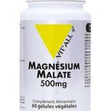 Vit'All+ Magnesiummalaat 500 mg 60 capsules