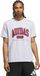 ADIDAS PERFORMANCE Functioneel shirt 'Collegiate Graphic' lichtgrijs / wijnrood / lichtrood / zwart