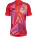 Juventus Maillot de gardien 2024/25