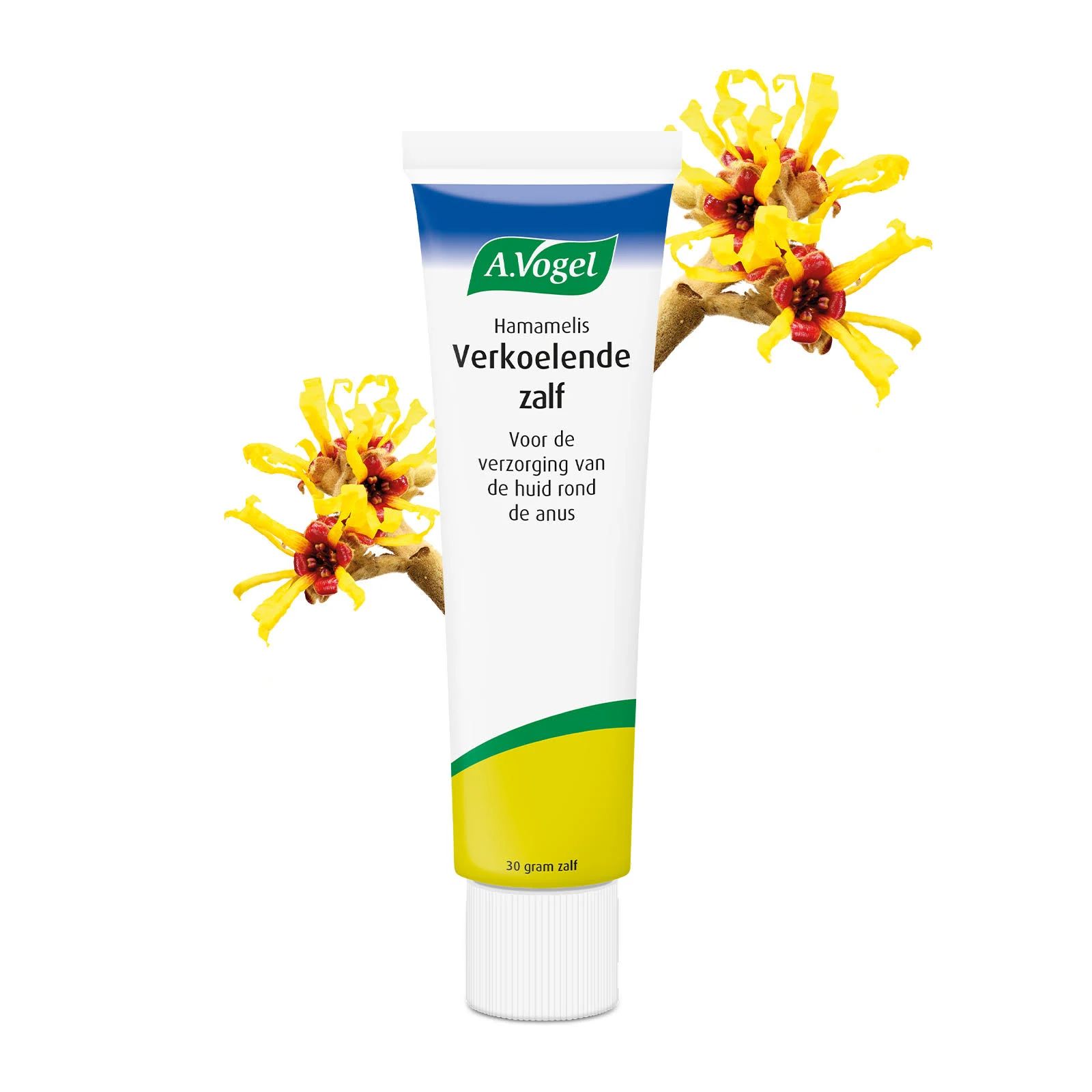 A.Vogel Hamamelis Cooling Ointment