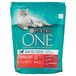 PURINA ONE Sterilcat - Rundvlees en tarwe - Bifensis
