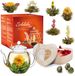 Creano Bloementhee Witte Thee Houten Hartdoos – 6 Handgemaakte Theebloemen met Glazen Teepot 500ml – Romantische Cadeauset voor Vrouwen