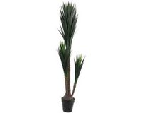 Mica Decorations Yucca Kunstplant - H160 x Ø80 cm - Groen